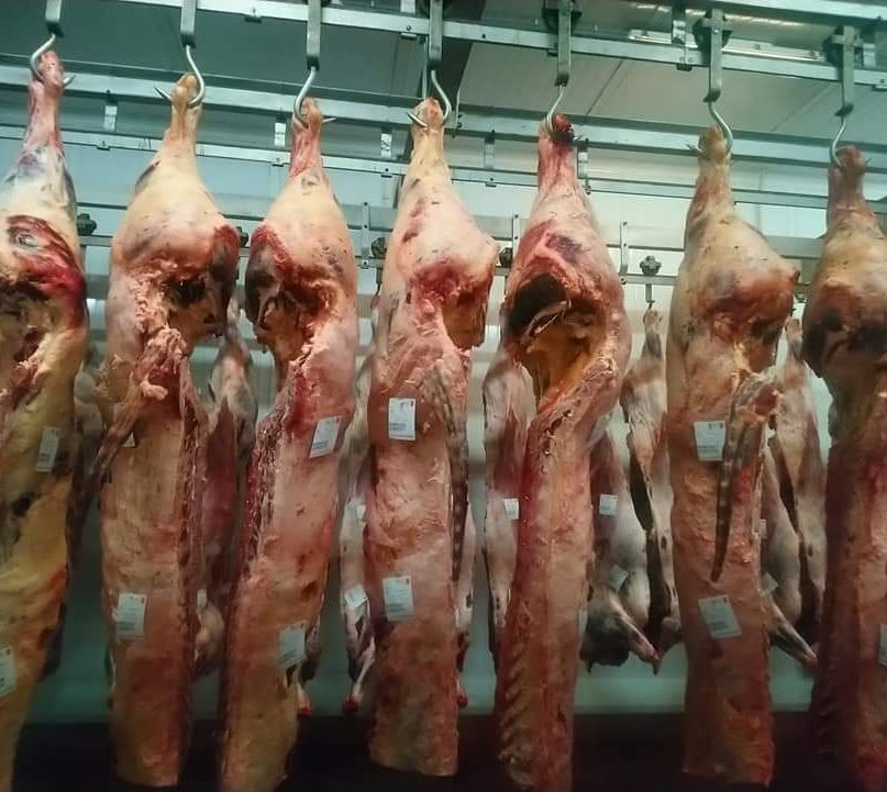 Cárnicas Jose Manuel Martínez carnes en venta